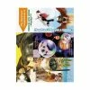 Medical Arts Press Veterinary Laser Postcards Humorous 3-Up Laser Postcards With Bookmark, Cats/Dogs Drop You A Reminder, 100/Pk