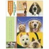 Medical Arts Press Veterinary Assorted Laser Postcards Humorous 3-Up Laser Postcards With Bookmark, Cats/Dogs That Time Again, 150/Pk