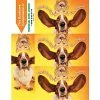 Medical Arts Press Veterinary Laser Postcards Humorous 3-Up Laser Postcards With Bookmark, That Time Again, 100/Pk