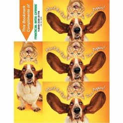 Medical Arts Press Veterinary Laser Postcards Humorous 3-Up Laser Postcards With Bookmark, That Time Again, 100/Pk