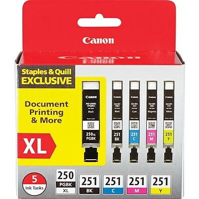 Canon PGI 250 XL/CLI-251 Special Edition Black/Color Ink Cartridge, High Yield, 5/Pack (6432B011) 3 Canon PGI 250 XL/CLI-251 Special Edition Black/Color Ink Cartridge, High Yield, 5/Pack (6432B011)
