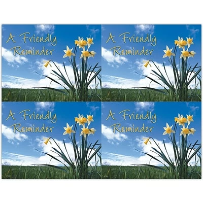 Medical Arts Press Generic Laser Postcards Generic Postcards; For Laser Printer; Flowers And Sky, 100/Pk 3 Medical Arts Press Generic Laser Postcards Generic Postcards; For Laser Printer; Flowers And Sky, 100/Pk