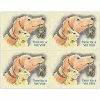 Medical Arts Press Veterinary Laser Postcards Graphic Image Postcards; For Laser Printer; Time For A Vet Visit, 100/Pk -Avery Shop s0842714 s7
