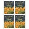 Medical Arts Press Eye Care Laser Postcards Scenic Postcards; For Laser Printer; Photo, Yellow Meadow, 100/Pk