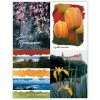 Medical Arts Press Generic Assorted Laser Postcards Generic Assorted Postcards; For Laser Printer; Floral, 100/Pk