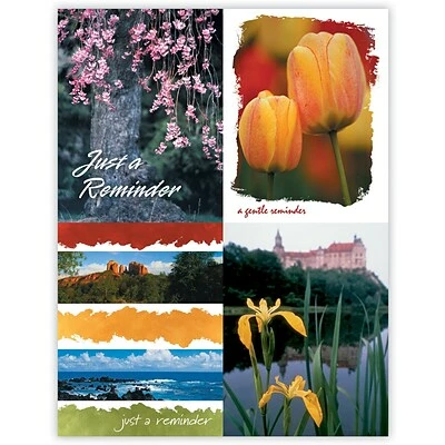 Medical Arts Press Generic Assorted Laser Postcards Generic Assorted Postcards; For Laser Printer; Floral, 100/Pk 3 Medical Arts Press Generic Assorted Laser Postcards Generic Assorted Postcards; For Laser Printer; Floral, 100/Pk